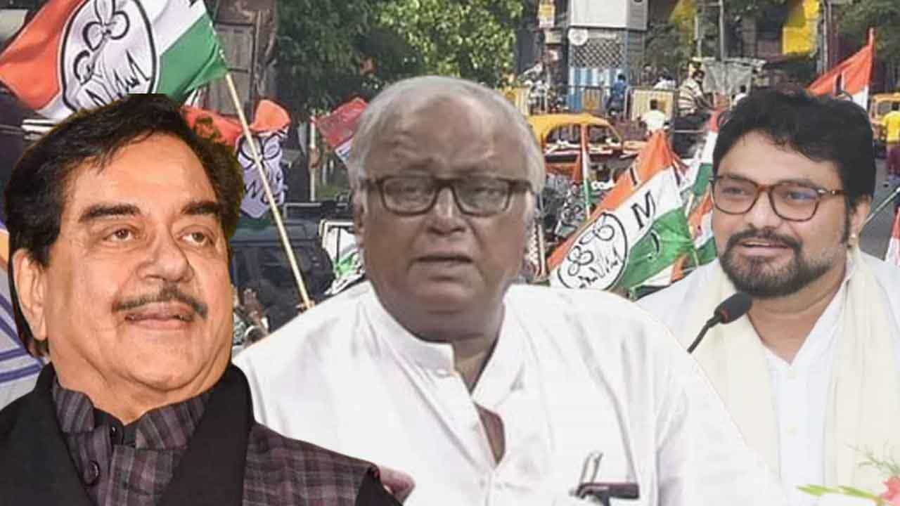 Exclusive Saugata Roy: বাবুল-শত্রুঘ্নকে কী কারণে প্রার্থী করেছে তৃণমূল, ফাঁস করলেন সৌগত রায় Exclusive Saugata Roy: বাবুল-শত্রুঘ্নকে কী কারণে প্রার্থী করেছে তৃণমূল, ফাঁস করলেন সৌগত রায়