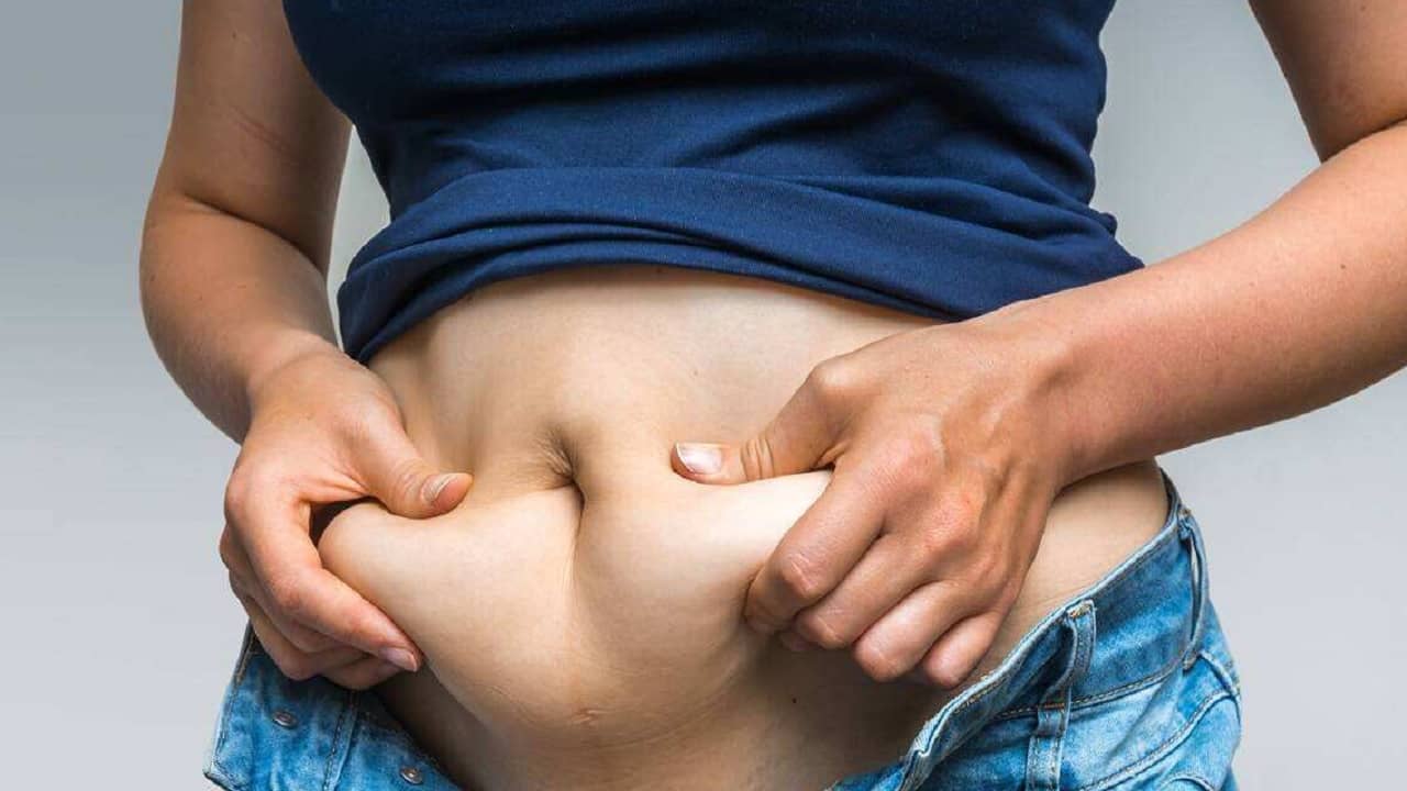 Belly Fat: বহরে বাড়ছে মধ্যপ্রদেশ? এখন থেকে না কমালে পড়তে পারেন মুশকিলে
