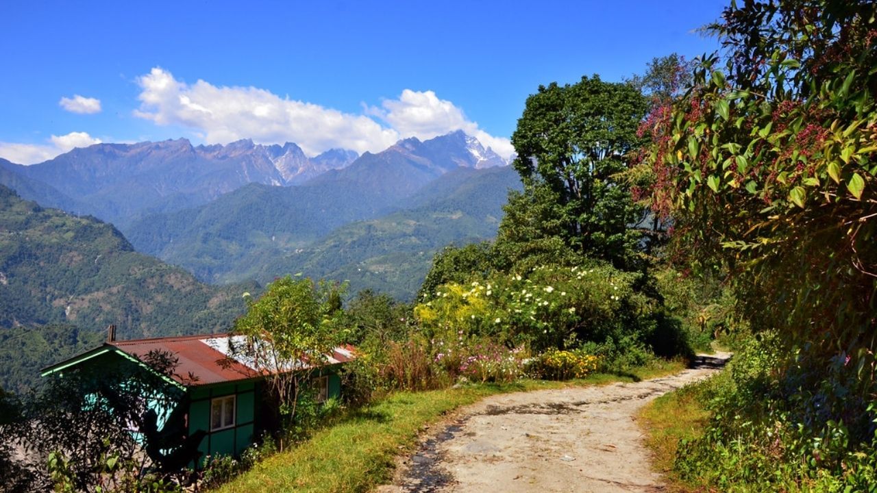 South Sikkim: ঘরে বসে থেকে থেকে ক্লান্ত লাগছে? পাহাড়ের বসন্ত গায়ে মেখে নিন বোরংয়ে