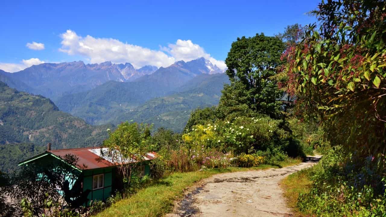 South Sikkim: ঘরে বসে থেকে থেকে ক্লান্ত লাগছে? পাহাড়ের বসন্ত গায়ে মেখে নিন বোরংয়ে South Sikkim: ঘরে বসে থেকে থেকে ক্লান্ত লাগছে? পাহাড়ের বসন্ত গায়ে মেখে নিন বোরংয়ে