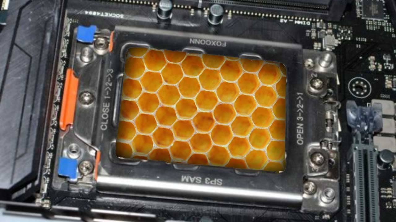 Computer Chip: মধু থেকে তৈরি হচ্ছে কম্পিউটার চিপ! বিস্ময়কর আবিষ্কার বিজ্ঞানীদের