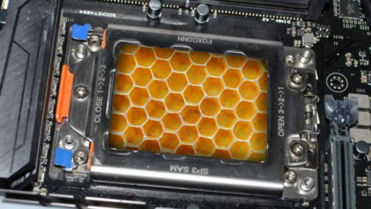 Computer Chip: মধু থেকে তৈরি হচ্ছে কম্পিউটার চিপ! বিস্ময়কর আবিষ্কার বিজ্ঞানীদের Computer Chip: মধু থেকে তৈরি হচ্ছে কম্পিউটার চিপ! বিস্ময়কর আবিষ্কার বিজ্ঞানীদের