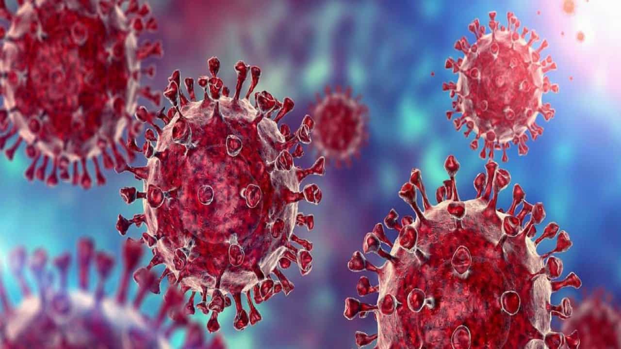 Covid Mutant XE: নয়া কোভিড ভ্যারিয়েন্ট XE-নিয়ে উদ্বেগে WHO, কী-কী লক্ষণে বুঝবেন রোগ