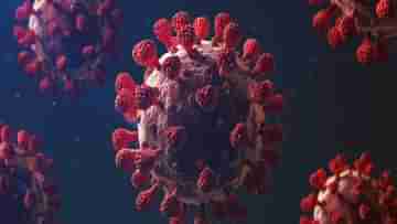 Coronavirus: সহজ হচ্ছে কোভিড বিধিনিষেধ, সর্দি-কাশির উপসর্গ থাকলে যে সব বিষয় অবশ্যই মেনে চলবেন