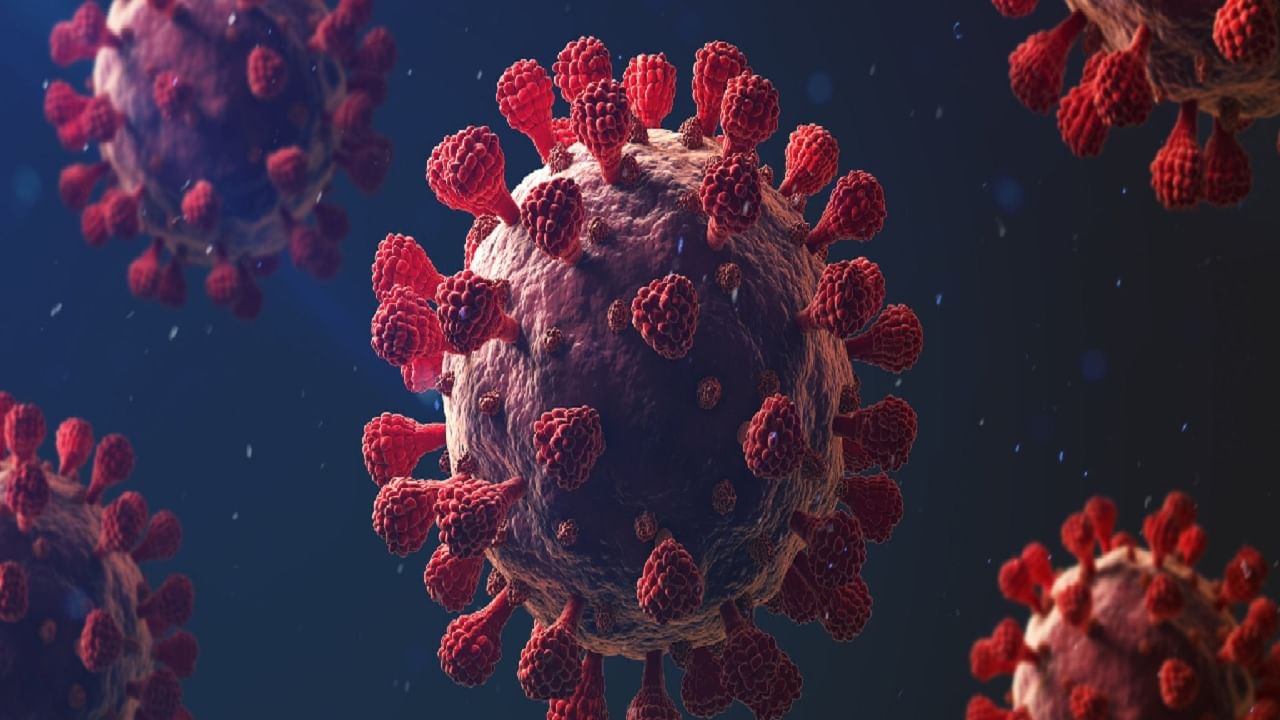 Coronavirus: সহজ হচ্ছে কোভিড বিধিনিষেধ, সর্দি-কাশির উপসর্গ থাকলে যে সব বিষয় অবশ্যই মেনে চলবেন