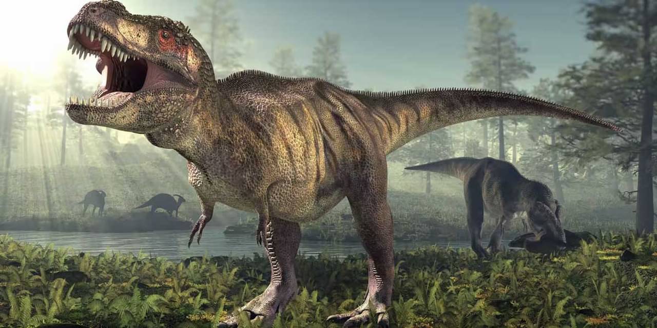 Dinosaur Fossil: গ্রহাণুর আঘাতে ডায়নোসরের মৃত্যু, উদ্ধার হওয়া জীবাশ্ম বলছে এক অজানা গল্প