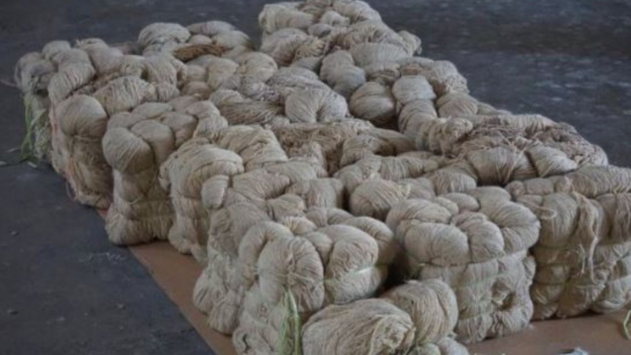 Drugs Seized from Gujarat Port: অবিশ্বাস্য! ৫ মাস ধরে সুতোর বান্ডিলে লুকিয়েছিল 'গুপ্তধন'.... Drugs Seized from Gujarat Port: অবিশ্বাস্য! ৫ মাস ধরে সুতোর বান্ডিলে লুকিয়েছিল 'গুপ্তধন'....