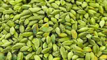 Cardamom: রুচি বাড়াতে জুড়ি নেই এই মশলার, স্তন ক্যানসার রুখতেও কার্যকরী এলাচ! জানতেন?