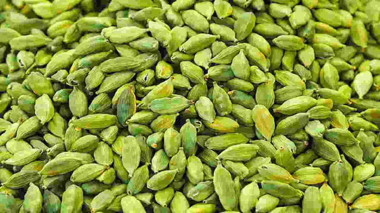 Cardamom: রুচি বাড়াতে জুড়ি নেই এই মশলার, স্তন ক্যানসার রুখতেও কার্যকরী এলাচ! জানতেন? Cardamom: রুচি বাড়াতে জুড়ি নেই এই মশলার, স্তন ক্যানসার রুখতেও কার্যকরী এলাচ! জানতেন?