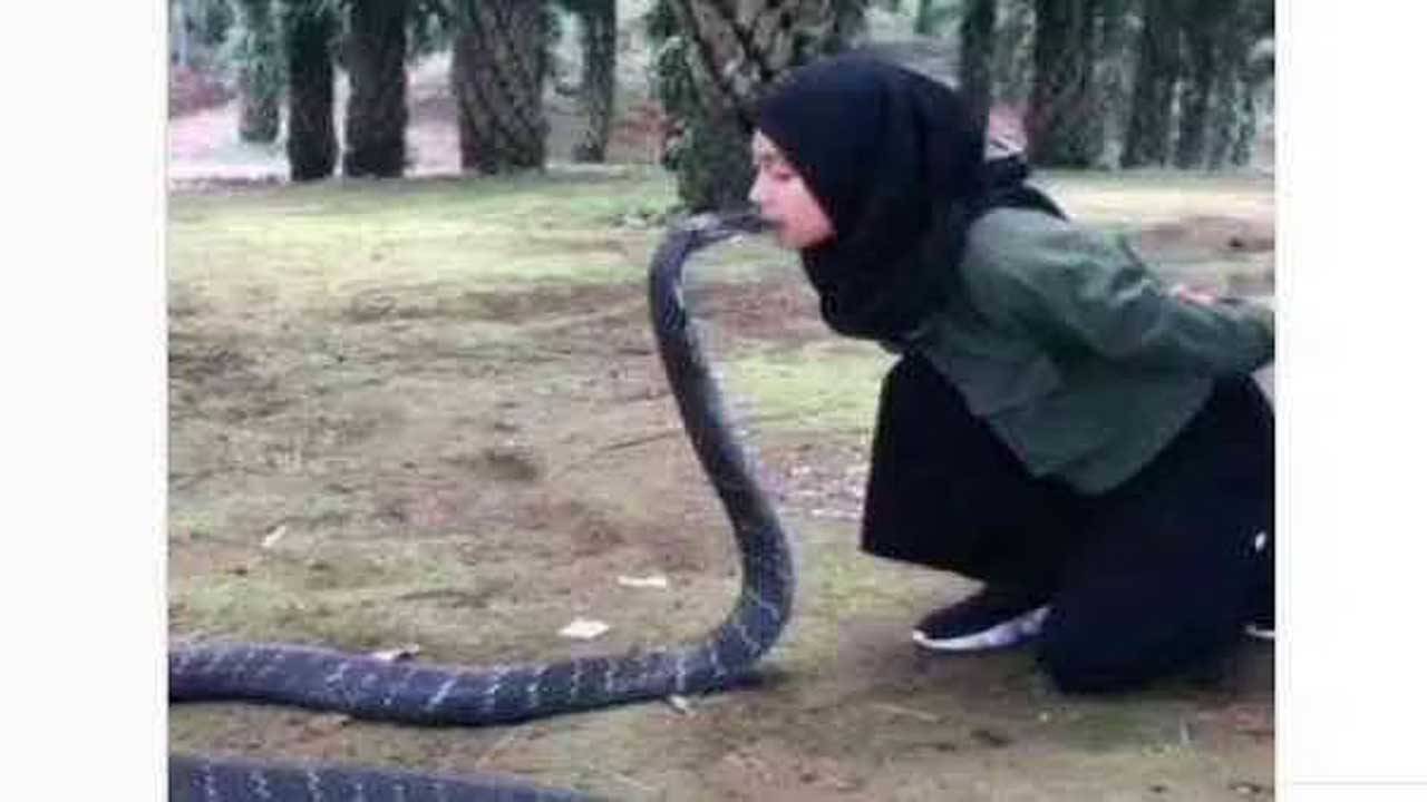 Viral Video: সাপকে চুমু খাচ্ছেন তরুণী! ভাইরাল ভিডিয়ো দেখে শিউরে উঠলেন সকলে