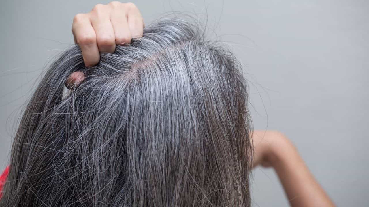Greying of Hair: অকালে পেকে গিয়ে চুলের সৌন্দর্যের বারোটা বাজাচ্ছে? মেনে চলুন ঘরোয়া ও আয়ুর্বেদিক ৫ উপায় Greying of Hair: অকালে পেকে গিয়ে চুলের সৌন্দর্যের বারোটা বাজাচ্ছে? মেনে চলুন ঘরোয়া ও আয়ুর্বেদিক ৫ উপায়