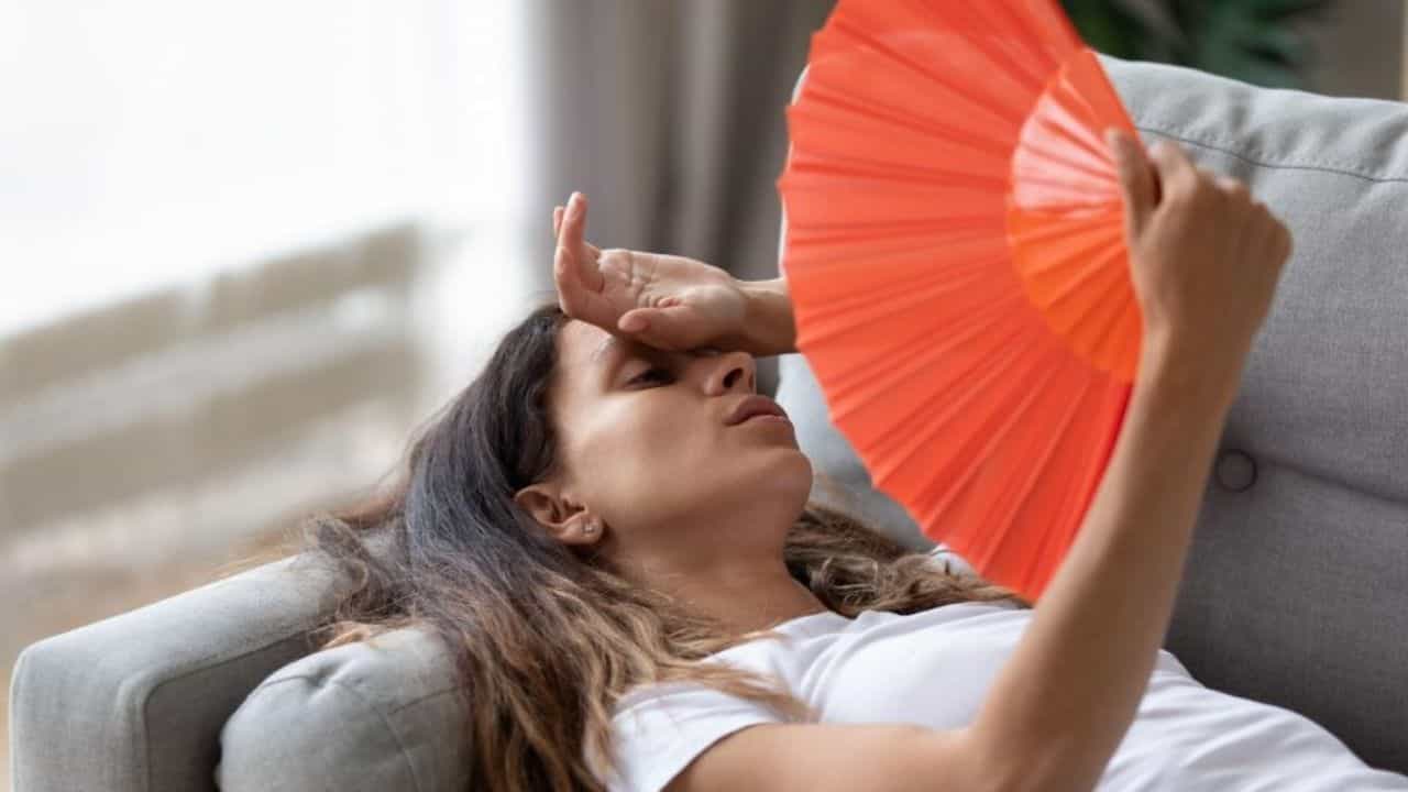 Heat Stroke: 'লু' লেগে মাথাঘোরা-ডায়েরিয়ায় ভুগছেন? হিটস্ট্রোক থেকে বাঁচার সেরা প্রতিকার লুকিয়ে রয়েছে বাড়িতেই Heat Stroke: 'লু' লেগে মাথাঘোরা-ডায়েরিয়ায় ভুগছেন? হিটস্ট্রোক থেকে বাঁচার সেরা প্রতিকার লুকিয়ে রয়েছে বাড়িতেই
