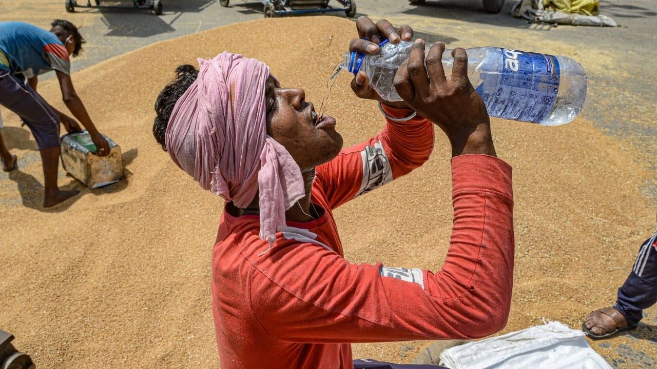 Weather Update: মেঘলা আকাশেও দেখা নেই বৃষ্টির, তাপপ্রবাহই জারি থাকবে নাকি কালবৈশাখী, কী বলছে হাওয়া অফিস