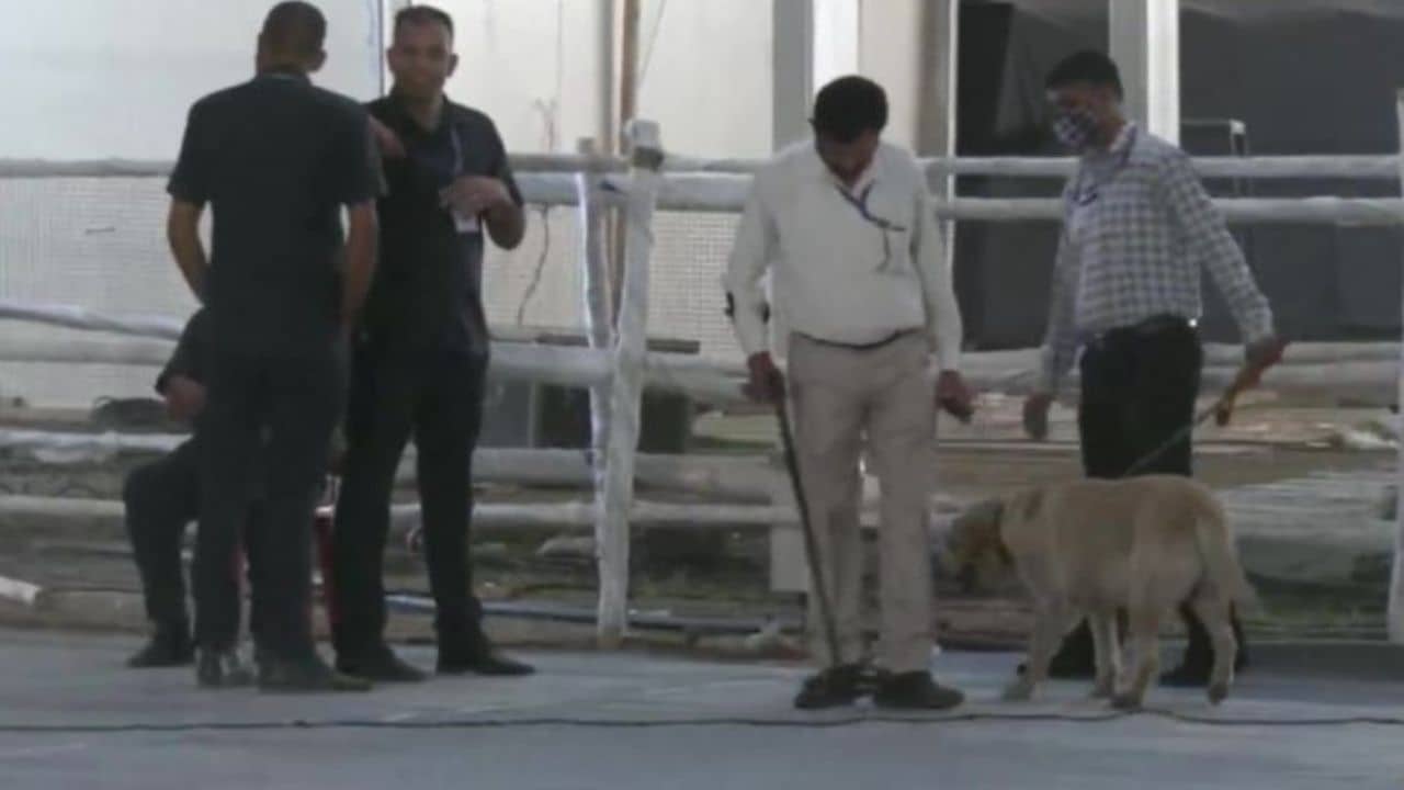 J&K Blast: প্রধানমন্ত্রীর সভাস্থল থেকে ১২ কিমি দূরেই বিস্ফোরণ, উপত্যকাজুড়ে উত্তেজনা