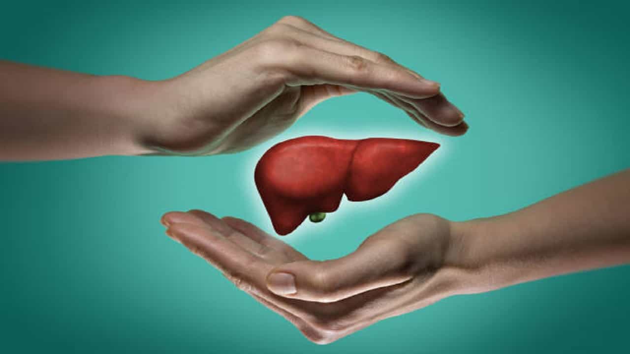 World Liver Day 2022: নিজে ডাক্তারি করে ঘনঘন ব্যথার ওষুধ খান? মারাত্মক প্রভাব পড়তে পারে লিভারে! World Liver Day 2022: নিজে ডাক্তারি করে ঘনঘন ব্যথার ওষুধ খান? মারাত্মক প্রভাব পড়তে পারে লিভারে!