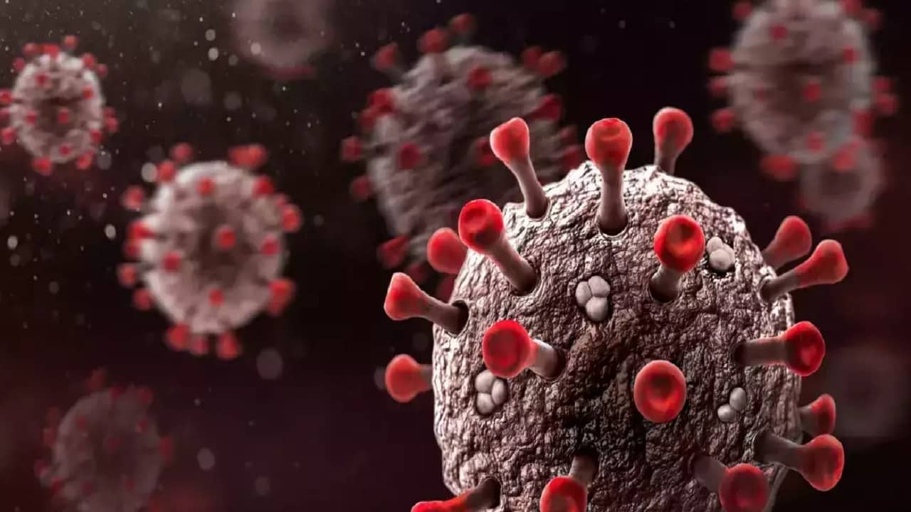 Coronavirus Variant: নতুন ভ্যারিয়েন্ট XE কতটা ভয়াবহ? যা জানাচ্ছেন গ্লোবাল হেলথের বিশেষজ্ঞরা