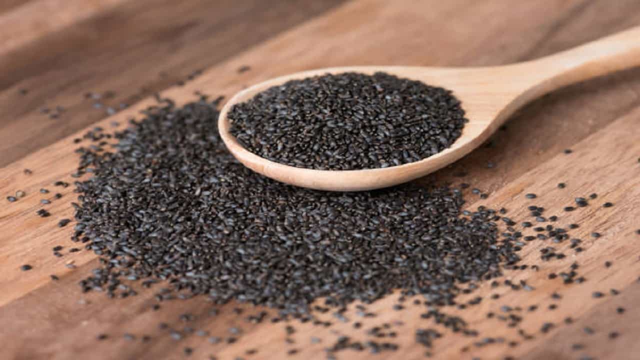 Sabja Seeds: সবজা সিড আসলে কী, এই গরমে কী ভাবে খেলে পাবেন উপকার! জানুন Sabja Seeds: সবজা সিড আসলে কী, এই গরমে কী ভাবে খেলে পাবেন উপকার! জানুন