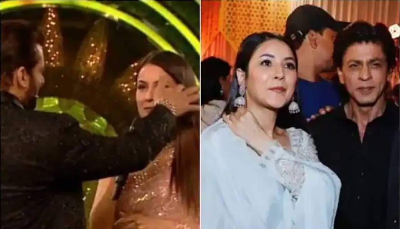 Shehnaaz Gill: কাকে স্যর বলবেন, কাকে স্যর বলবেন না, ইফতার পার্টি থেকে এসে শাহরুখ-সলমনের ব্যাপারে মন্তব্য শেহনাজ়ের