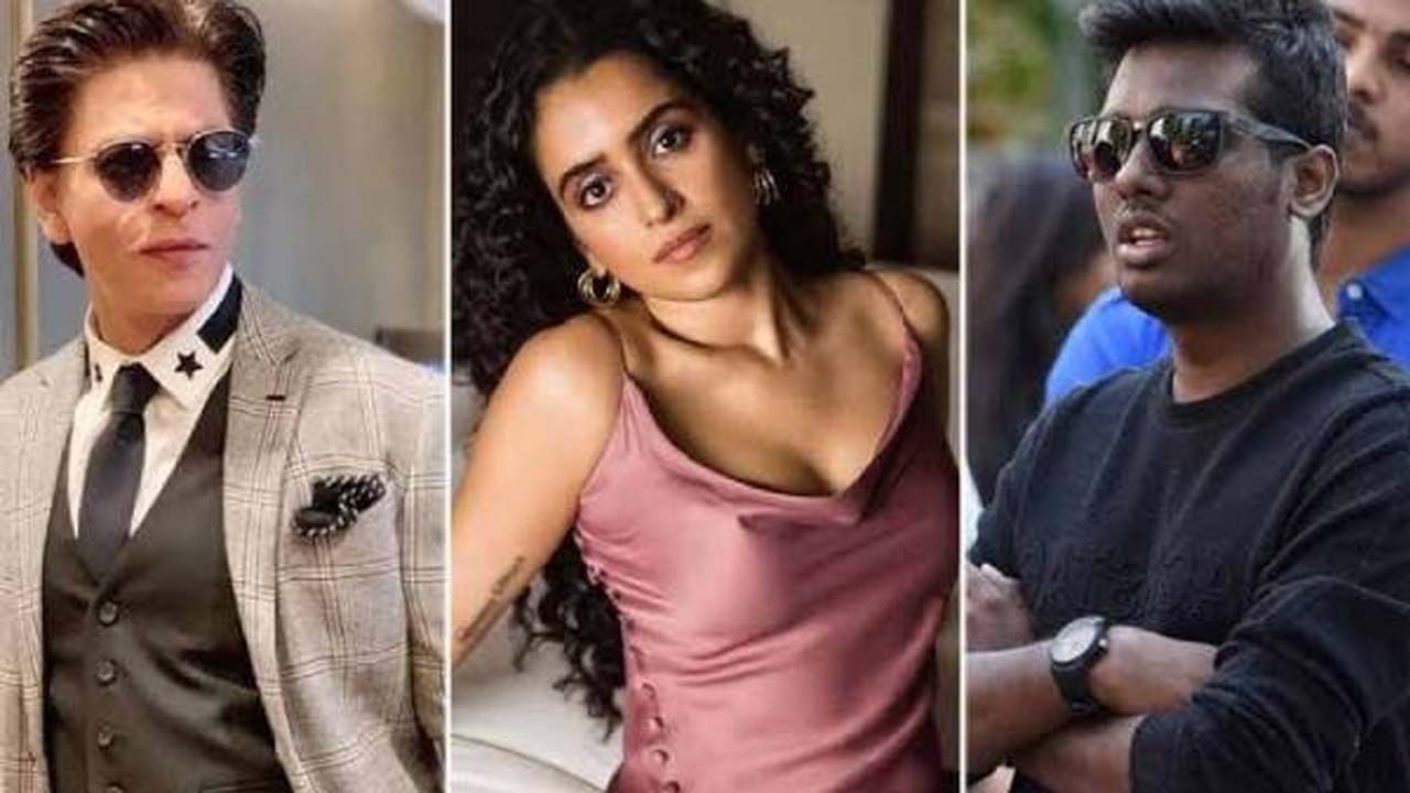 Sanya Malhotra: বন্দুক চালানো শিখছেন সানায়া, কিন্তু কেন?