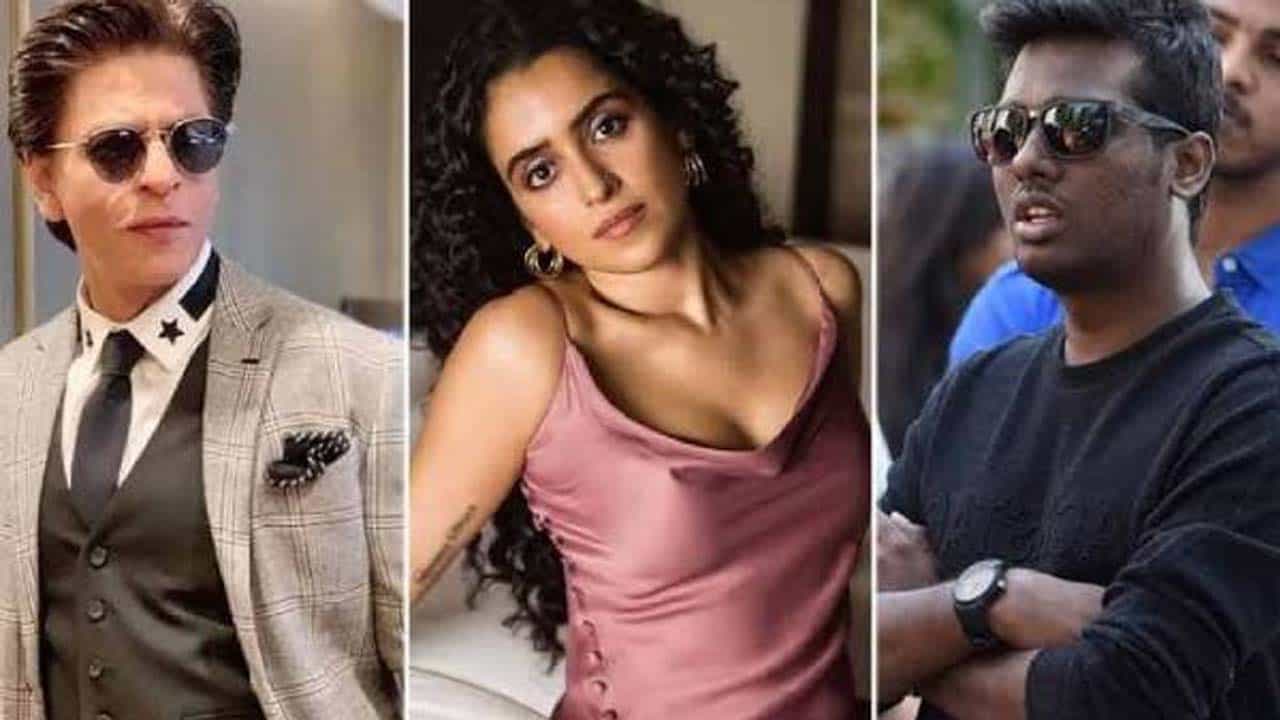 Sanya Malhotra: বন্দুক চালানো শিখছেন সানায়া, কিন্তু কেন? Sanya Malhotra: বন্দুক চালানো শিখছেন সানায়া, কিন্তু কেন?