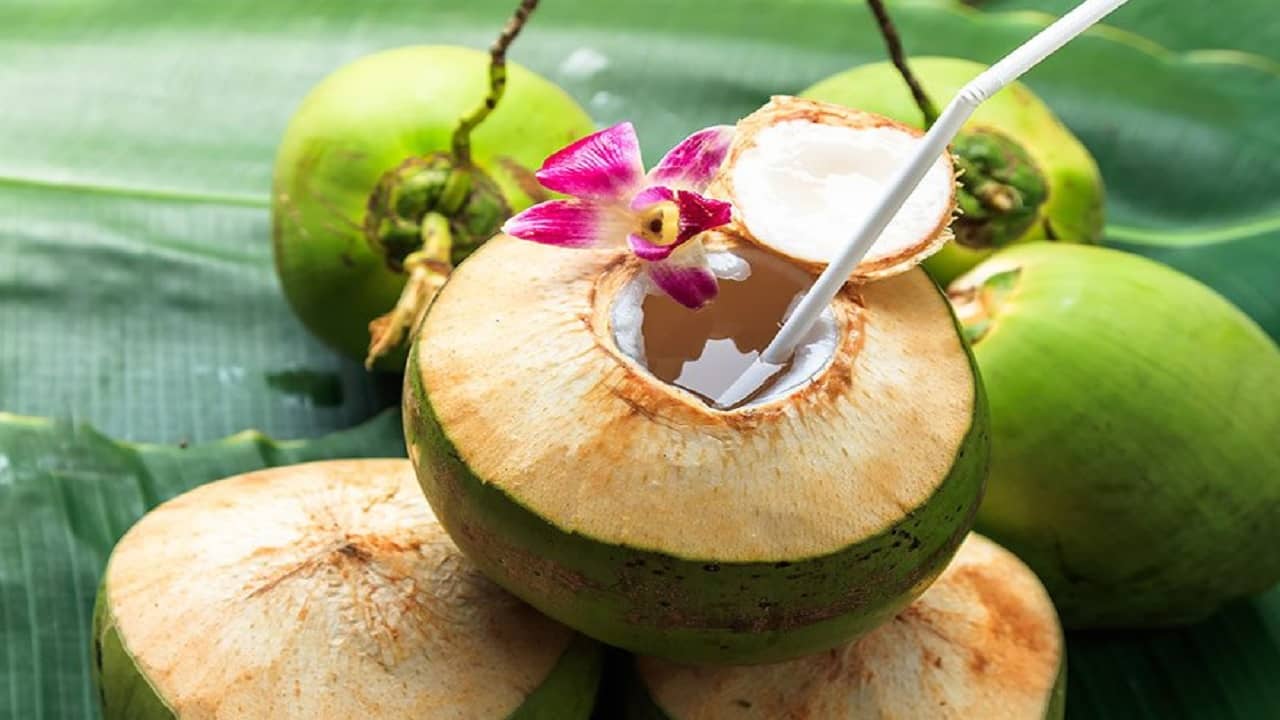 Summer Skin Care: এই গরমে ত্বক আর চুলকে স্বস্তি দিতে মেনে চলুন এই সব আর্য়ুবেদিক টোটকা