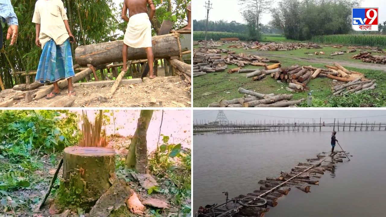 Wood Smuggling : রাজ্যে রমরমা 'পুষ্পা'দের, কেন ব্যর্থ বনদফতর?