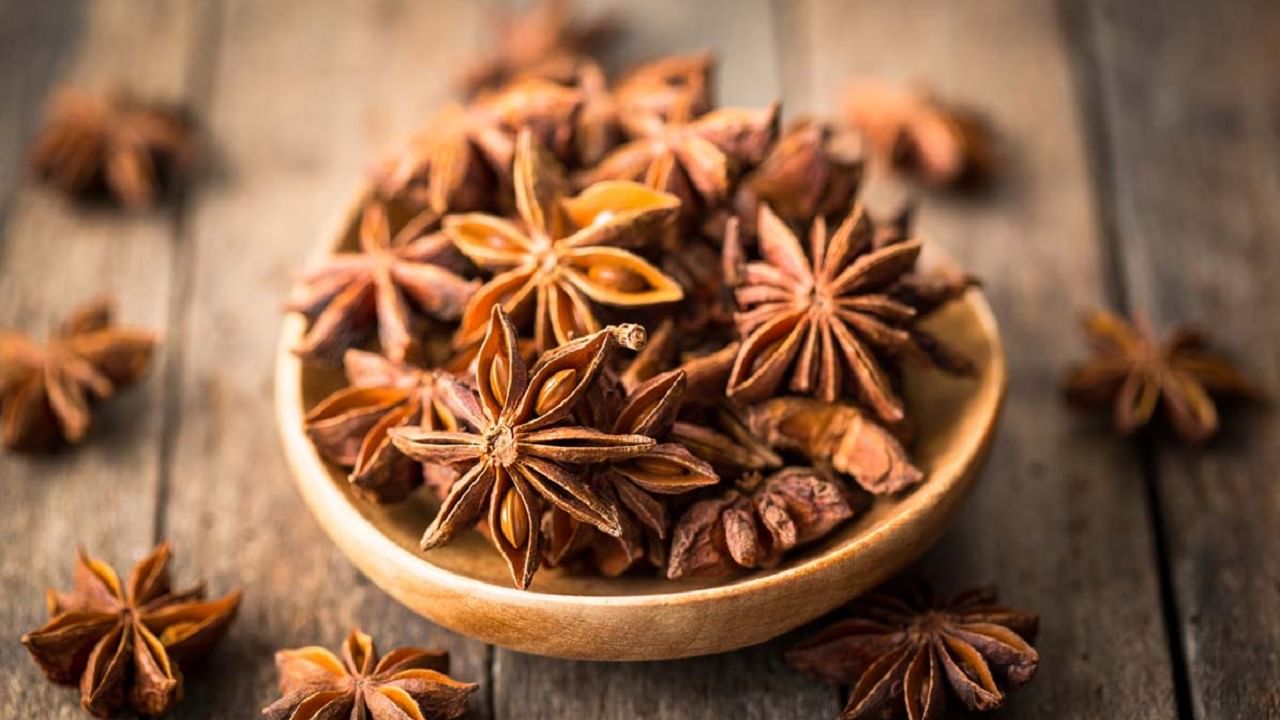 Star Anise হজমের সমস্যা থেকে ফ্লু, কী ভাবে ব্যবহার করবেন স্টার অ্যানিস