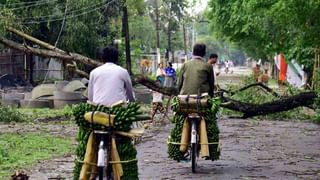 PM Modi : ফোকাসে গুজরাট নির্বাচন! ‘বাড়ি’ যাচ্ছেন মোদী