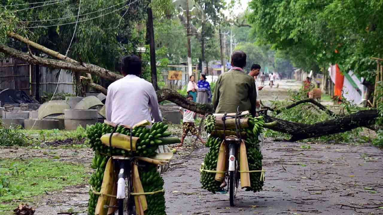 Assam Storm: প্রবল ঝড়ের তাণ্ডবে লণ্ডভণ্ড গ্রামের পর গ্রাম, মৃতের সংখ্যা বেড়ে ১৪