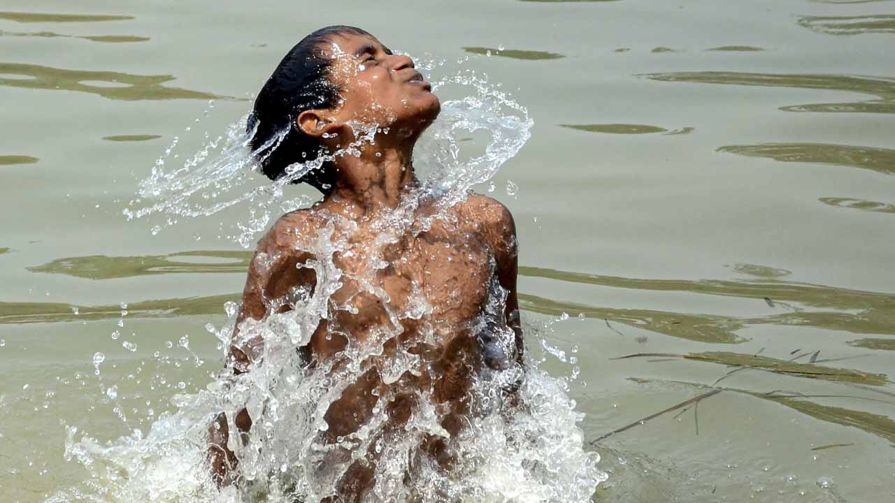 Weather Update: প্যাচপ্যাচে গরম আর কড়া রোদ পিছু ছাড়ছে না আপাতত, কী বলছে আবহাওয়া দফতর? Weather Update: প্যাচপ্যাচে গরম আর কড়া রোদ পিছু ছাড়ছে না আপাতত, কী বলছে আবহাওয়া দফতর?