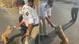 Viral Video: সত্যি কি পিৎজা অর্ডার করলেন আলিয়া, ফোনের ওপারে কে! মহিলার প্র্যাঙ্ক ভিডিয়োয় মজল নেটপাড়া