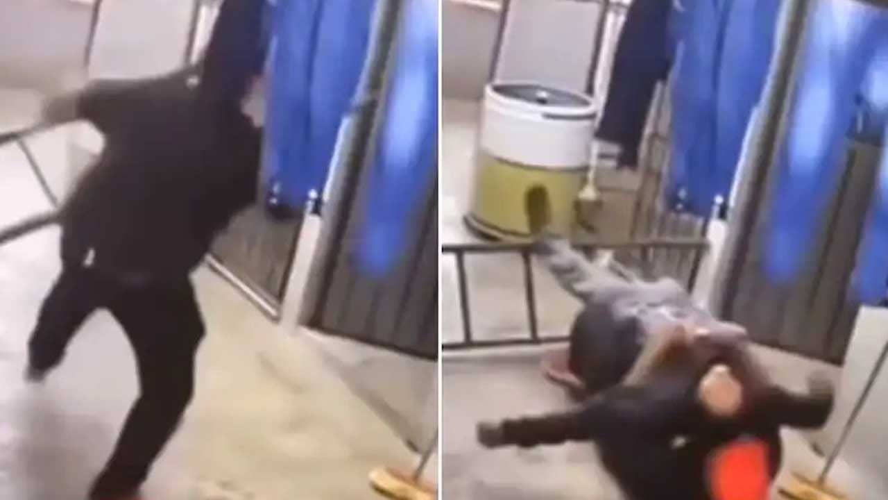 Viral Video: মই থেকে পড়ে যাচ্ছিলেন সহকর্মী, চোখের নিমেষে ধরে নিলেন যুবক, দেখুন ভিডিয়ো