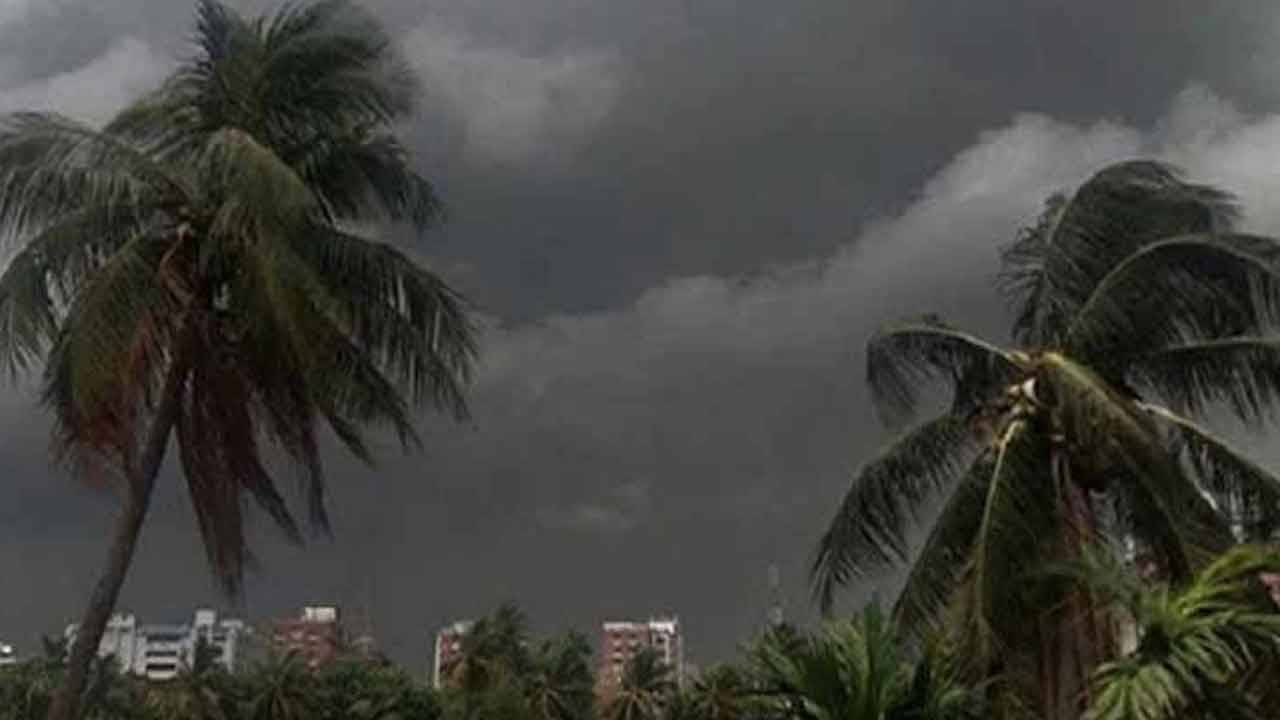 West Bengal Weather Update: অবশেষে স্বস্তি; কলকাতায় প্রথম কালবৈশাখী, সঙ্গে তুমুল বৃষ্টি... দিনক্ষণ জানিয়ে দিল হাওয়া অফিস