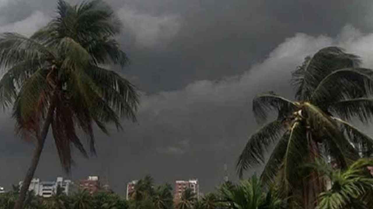 West Bengal Weather Update: অবশেষে স্বস্তি; কলকাতায় প্রথম কালবৈশাখী, সঙ্গে তুমুল বৃষ্টি... দিনক্ষণ জানিয়ে দিল হাওয়া অফিস