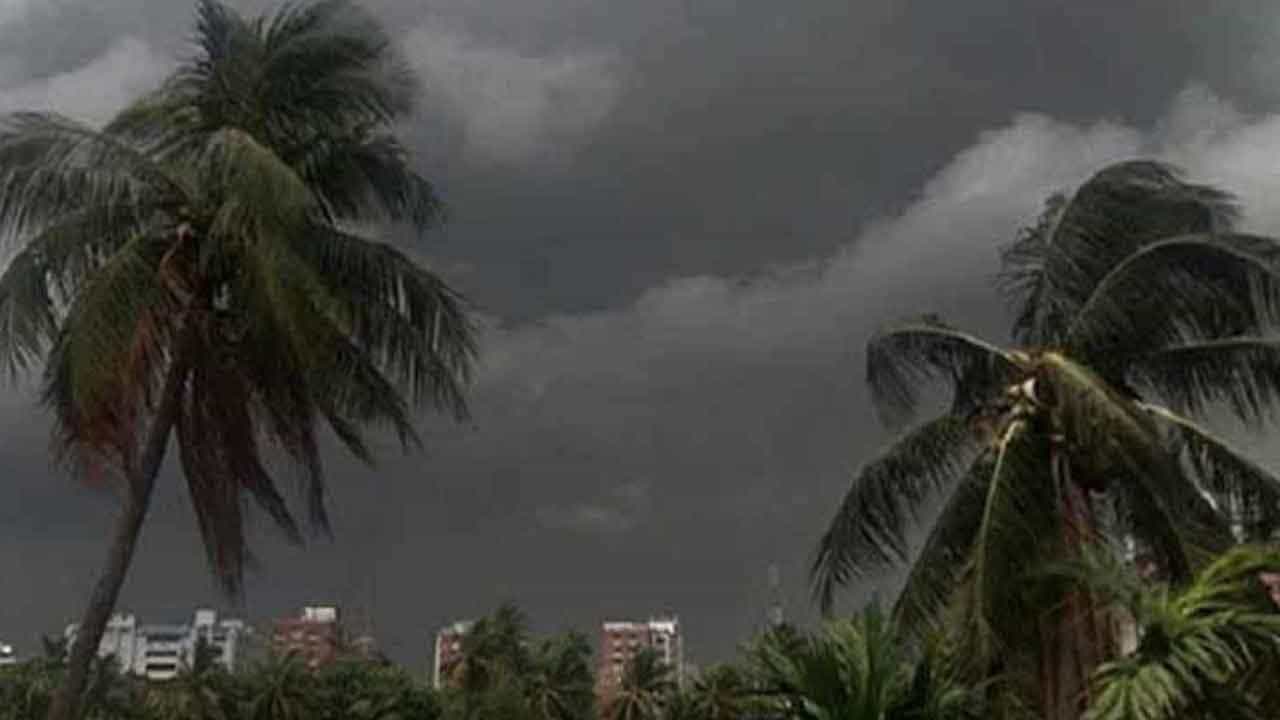 West Bengal Weather Update: অবশেষে স্বস্তি; কলকাতায় প্রথম কালবৈশাখী, সঙ্গে তুমুল বৃষ্টি... দিনক্ষণ জানিয়ে দিল হাওয়া অফিস West Bengal Weather Update: অবশেষে স্বস্তি; কলকাতায় প্রথম কালবৈশাখী, সঙ্গে তুমুল বৃষ্টি... দিনক্ষণ জানিয়ে দিল হাওয়া অফিস