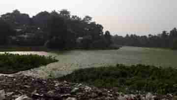 Alipurduar wetlands: জলাভূমি ভরাট করে বহুতল? তদন্ত কমিটি গঠন করল আলিপুরদুয়ার পুরসভা