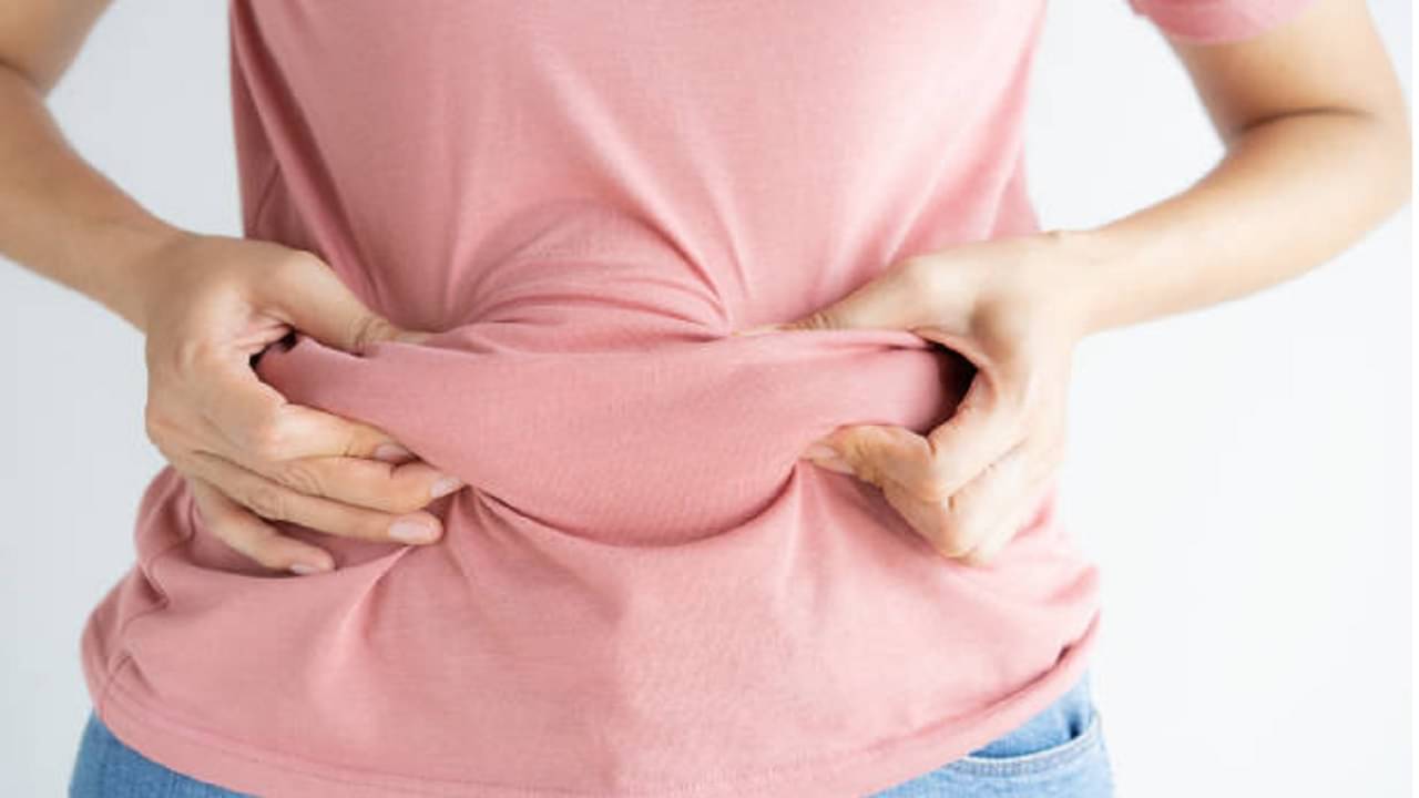 Weight Loss Tips: কেন পেটের মেদ ঝরতে সবচেয়ে বেশি সময় লাগে, জানেন কি?