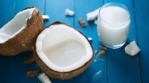 Coconut Milk: গরমে ত্বক ও চুলের সমস্যায় নাজেহাল? নারকেলের দুধে হবে মুশকিল আসান