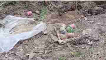 Malda Bomb Recover: তৃণমূল পার্টি অফিসের পিছনে উদ্ধার বোমা, চাঞ্চল্য মালদায়