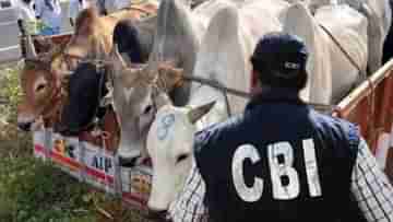 Cow Smuggling Case: গরু পাচার মামলায় জামিন পাচ্ছেন না বিকাশ মিশ্র, জেল হেফাজতেও জেরা করতে পারবে CBI