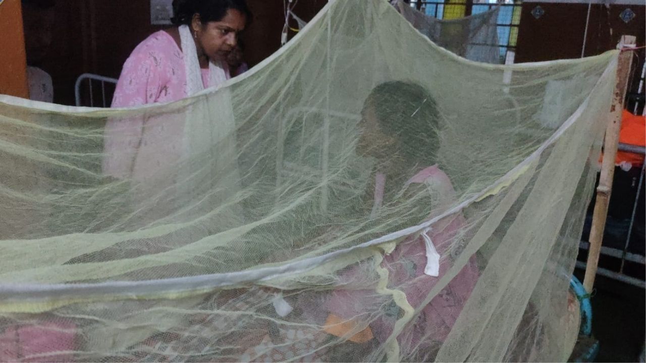 Dengue: আতঙ্ক বেড়েই চলেছে, ফের শহরে ডেঙ্গিতে আক্রান্ত ৩
