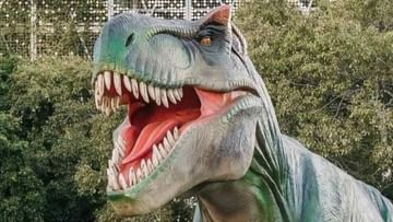 Dinosaur Festival: গরমের ছুটি নষ্ট না করে দেখে আসুন ডায়নোসর ফেস্ট! অভিনব উত্‍সব শুরু কবে থেকে?