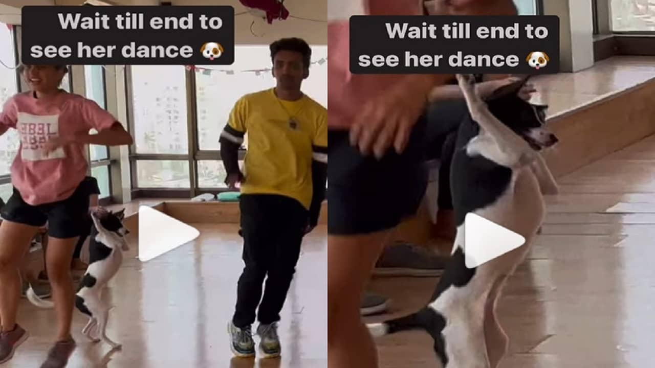 Viral Video: হোসানা গানে পোষ্য কুকুরের উদ্দাম নৃত্য! ভিডিয়ো দেখে নেটাগরিকদের চক্ষু ছানাবড়া