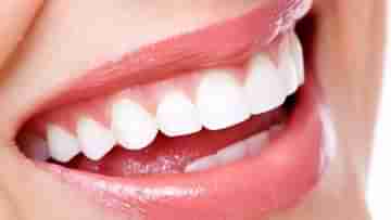 Whiten Teeth: সাদা দাঁতে চোখে লাগবে ধাঁধা! রইল ঝকঝকে দাঁত পাওয়ার দারুণ কার্যকরী ভেষজের খোঁজ