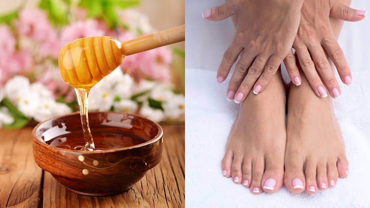 Nail Care: প্রতিবার ম্যানিকিওর করতে গিয়ে খসে মোটা অঙ্ক? এই ঘরোয়া উপাদানেই সারুন...