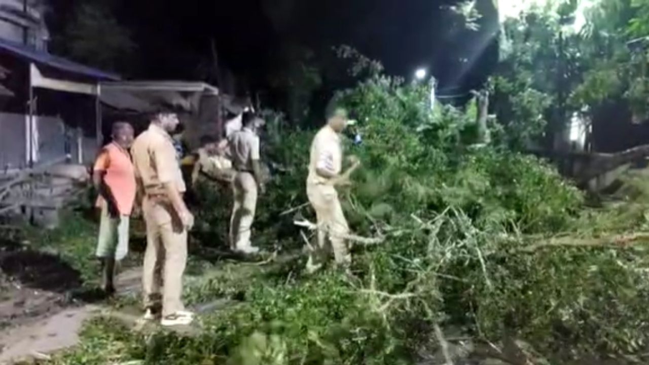 Habra: যশোর রোডে গাছ উল্টে বিপত্তি, অবরুদ্ধ হয়ে পড়ে রাস্তা