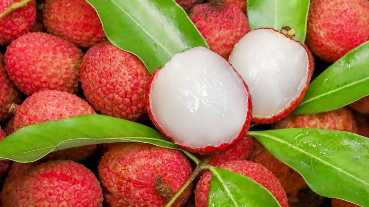 Benefits of Litchi: ওজন কমানো থেকে লিভার ক্যানসার, লিচুর রয়েছে অনেক গুণ! জানুন