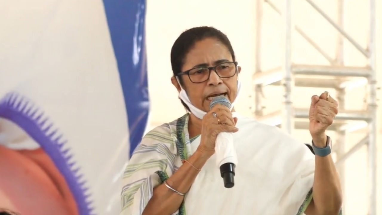 Mamata Banerjee : 'আমার সৃষ্টি বৃথা যাবে না', দিল্লি জয়ের ডাক মমতার