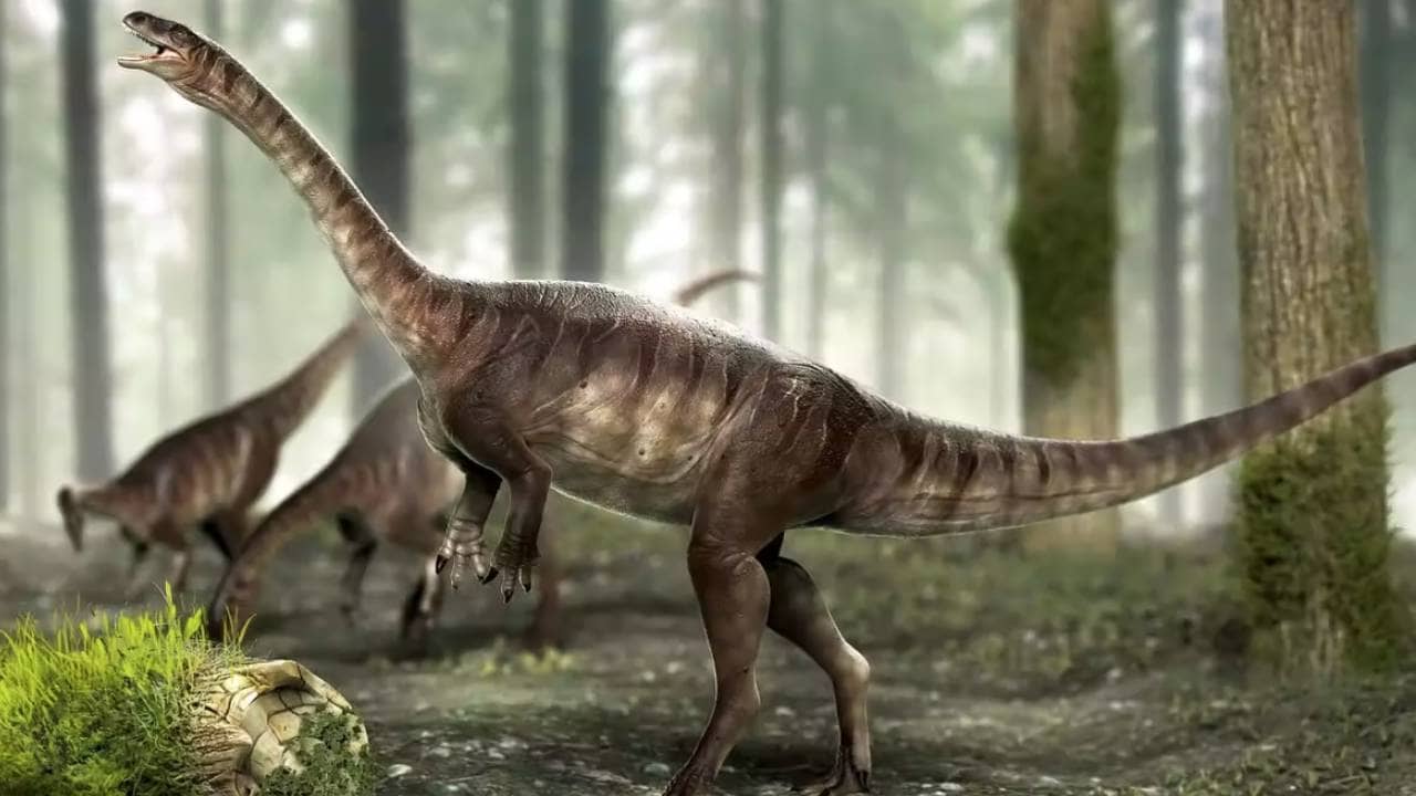 Vegan Dinosaur-এর জীবাশ্ম পাওয়া গেল জাপানে! গাছপালাই খায় এই ডায়নোসররা
