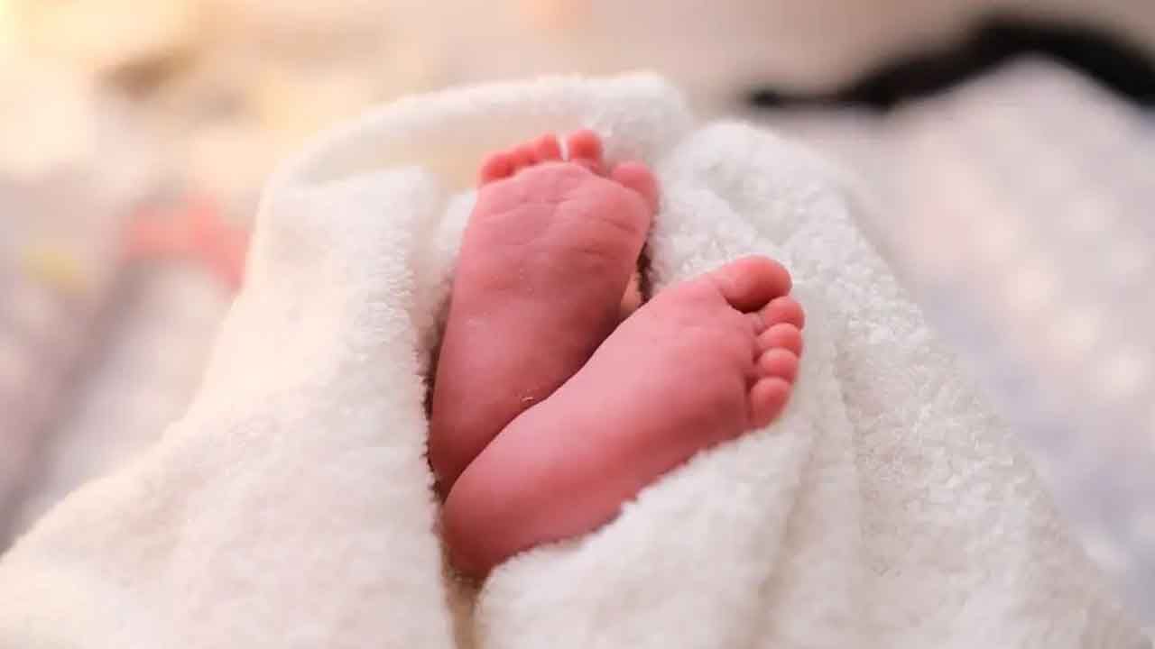 Newborn in Kashmir: 'মৃত' সন্তানের জন্ম হয়েছে? কবর দিতে গিয়ে চমকে গেল পরিবার